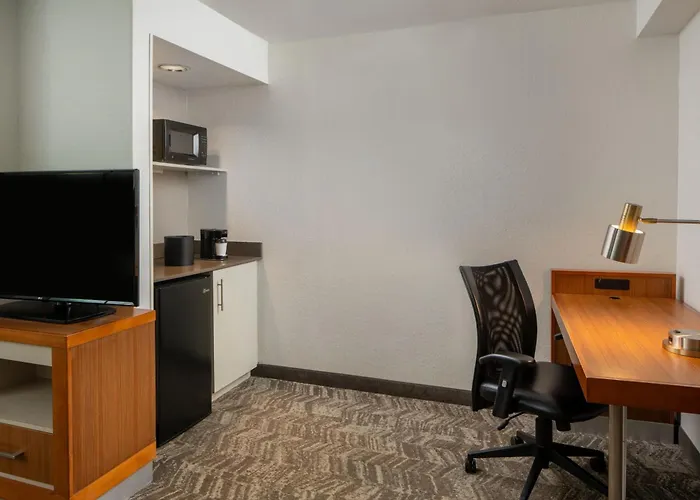 Springhill Suites By Marriott Orlando Convention Center